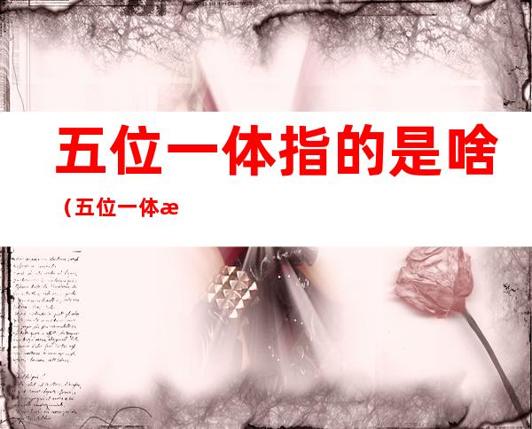 五位一体指的是啥(五位一体指的是啥五行)
