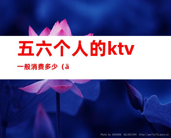 五六个人的ktv一般消费多少(五六个人的ktv一般消费多少)