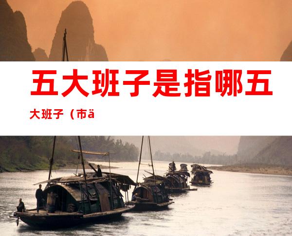 五大班子是指哪五大班子(市五大班子是指什么)