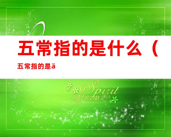 五常指的是什么(五常指的是什么意思)