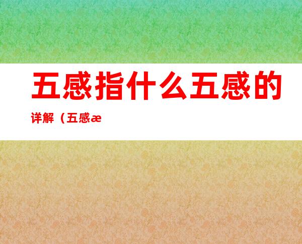 五感指什么五感的详解(五感是哪些)