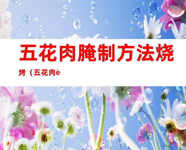 五花肉腌制方法烧烤(五花肉腌制方法烧烤图片)