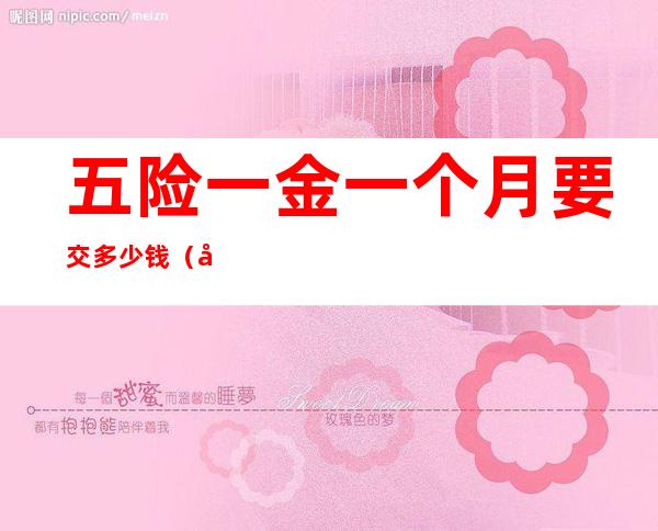 五险一金一个月要交多少钱（北京五险一金一个月要交多少钱）