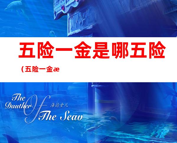 五险一金是哪五险（五险一金是哪五险一金包括社保吗）
