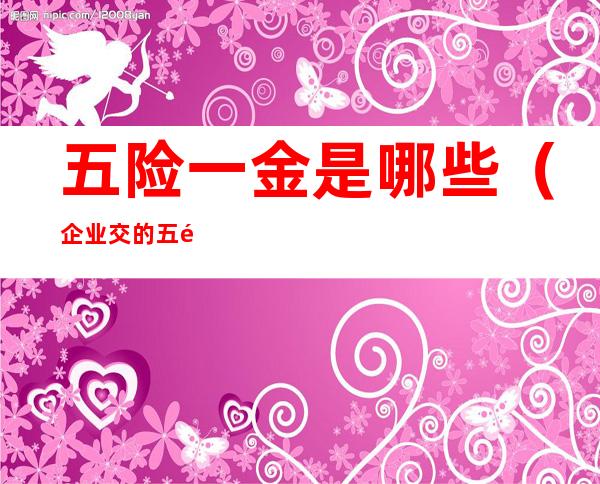 五险一金是哪些(企业交的五险一金是哪些)