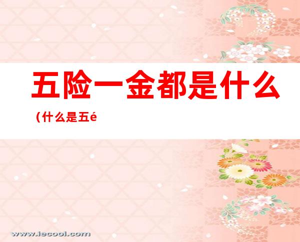 五险一金都是什么(什么是五险一金都包括些啥呢)