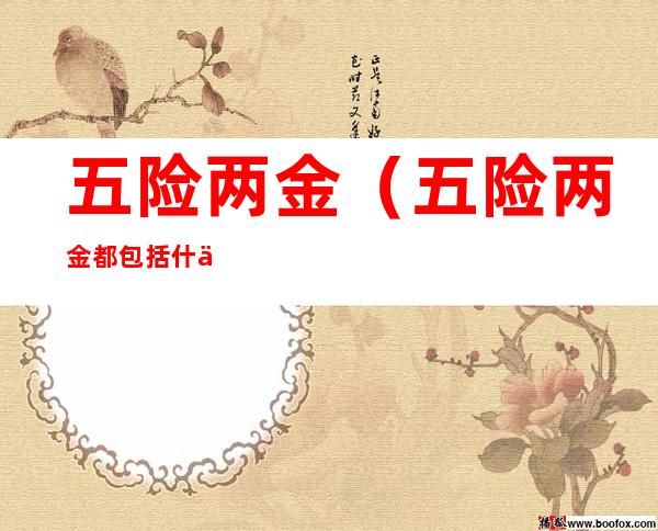 五险两金(五险两金都包括什么内容)