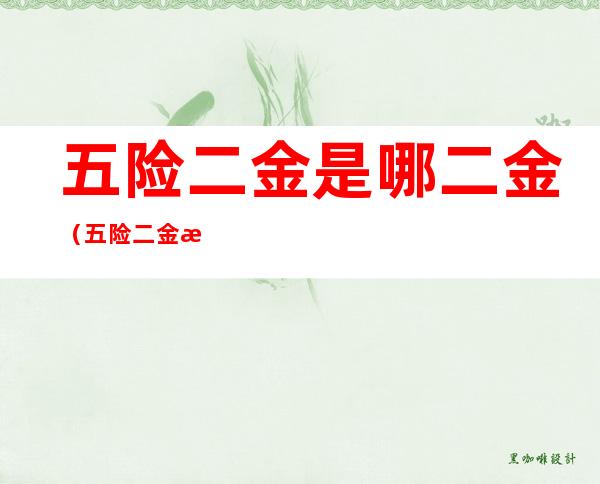 五险二金是哪二金(五险二金是啥二金)