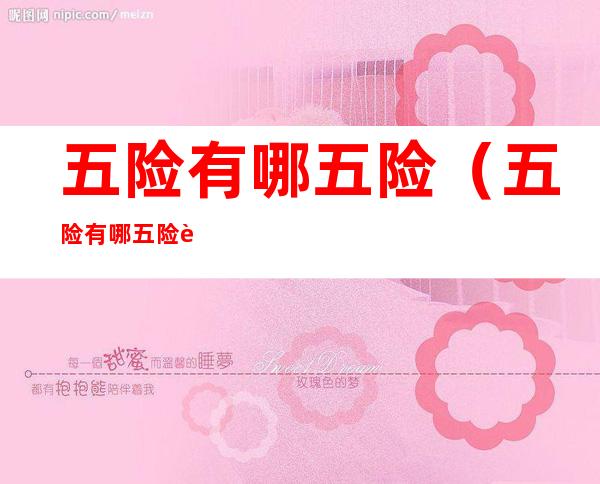 五险有哪五险(五险有哪五险要给多少年)