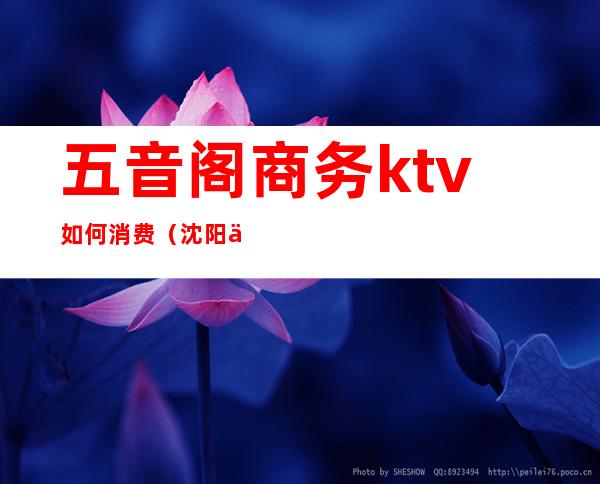 五音阁商务ktv如何消费(沈阳五音阁商务ktv女孩小费)