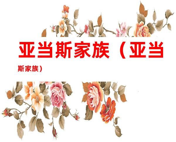 亚当斯家族(亚当斯家族)