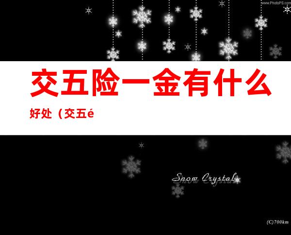 交五险一金有什么好处(交五险一金有什么好处和坏处)