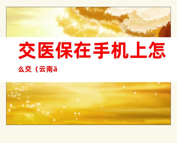 交医保在手机上怎么交(云南交医保在手机上怎么交)