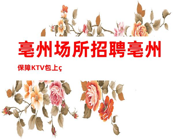 亳州场所招聘 亳州保障KTV包上班快来找我