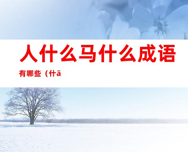 人什么马什么成语有哪些(什么人什么马的成语)