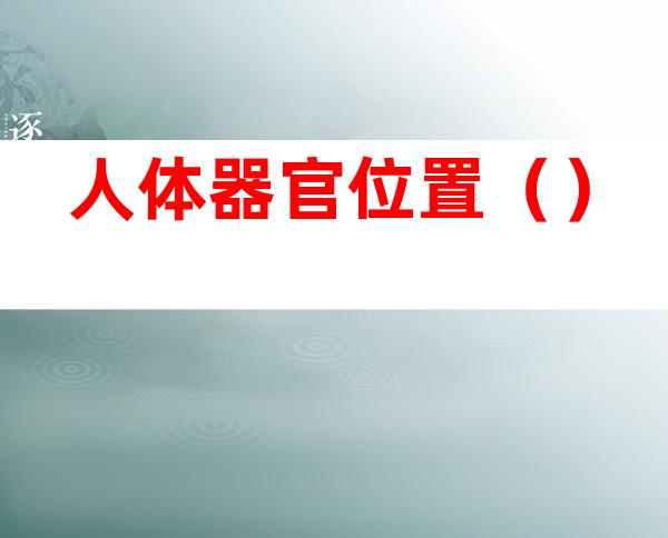人体器官位置（）