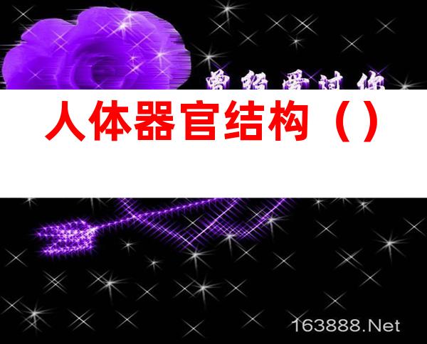 人体器官结构（）