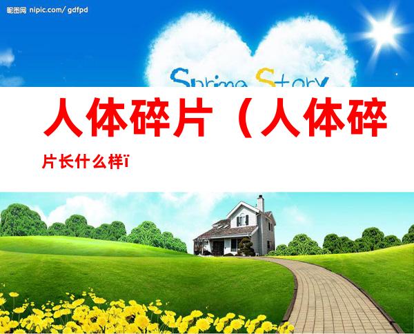 人体碎片(人体碎片长什么样)