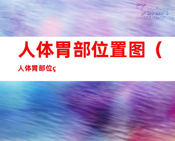 人体胃部位置图（人体胃部位置图卡通）