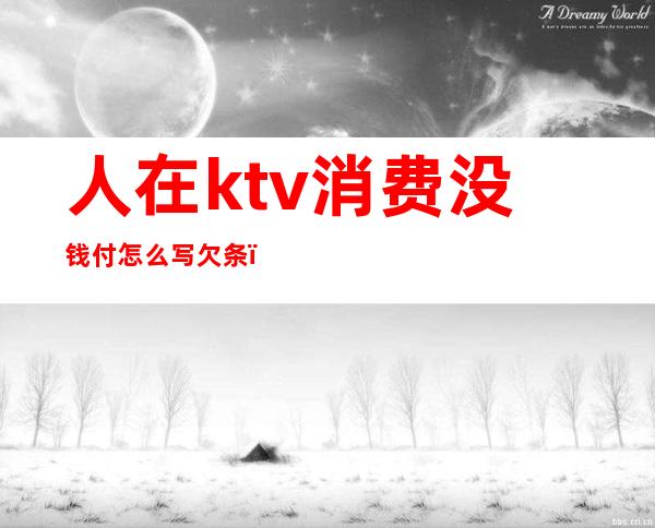 人在ktv消费没钱付怎么写欠条(ktv消费完不给钱怎么处理)