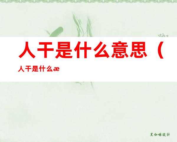 人干是什么意思(人干是什么意思梗)