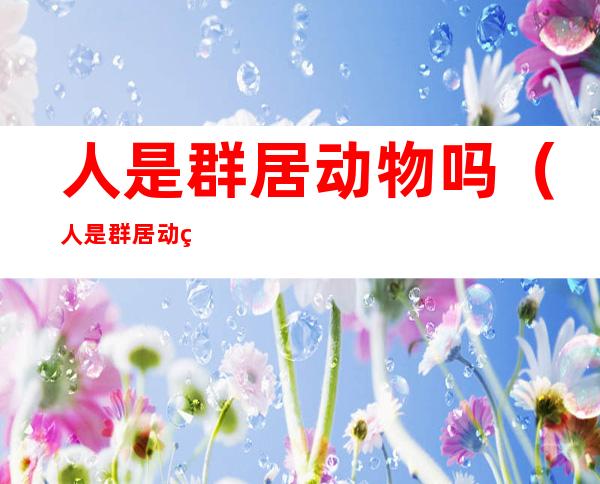 人是群居动物吗(人是群居动物吗英语)