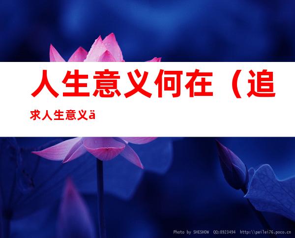 人生意义何在?（追求人生意义何在）