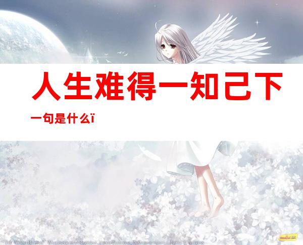 人生难得一知己下一句是什么(人生难得一知己下一句是什么粤语歌)