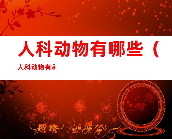 人科动物有哪些(人科动物有哪些分类)