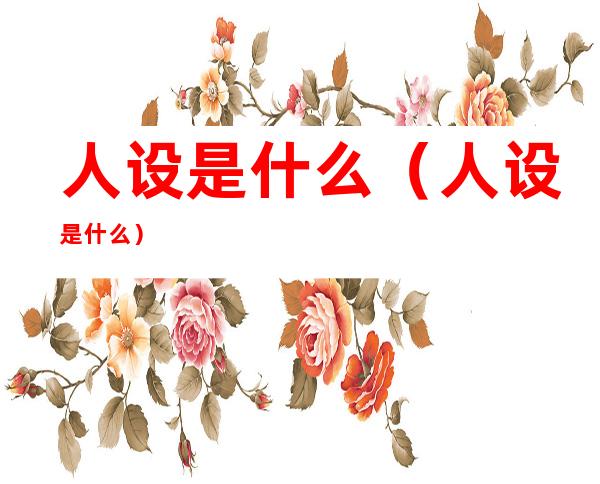 人设是什么(人设是什么)