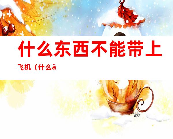 什么东西不能带上飞机（什么东西不能带上飞机英文）