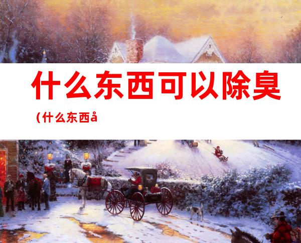 什么东西可以除臭(什么东西可以除臭大姐)