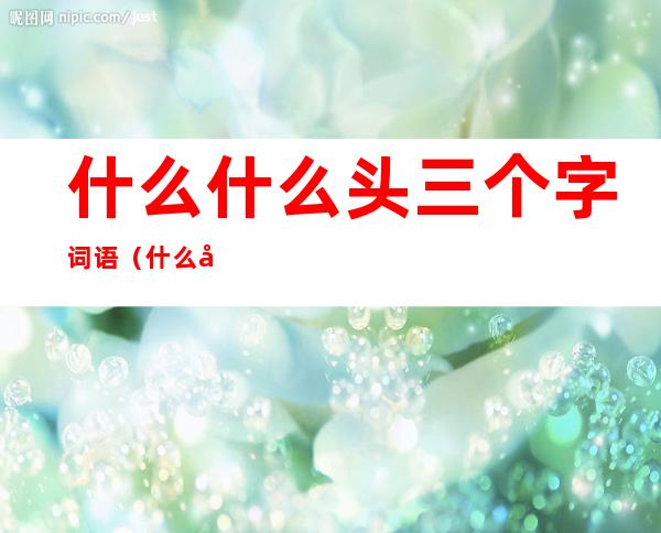 什么什么头三个字词语(什么头的词语)
