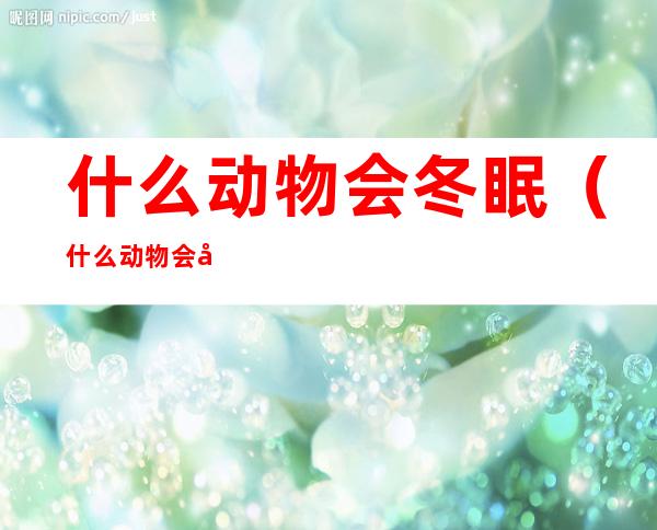 什么动物会冬眠（什么动物会冬眠它们是怎么冬眠的）