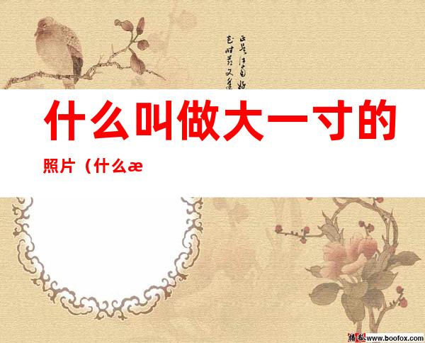 什么叫做大一寸的照片(什么是大一寸的照片)