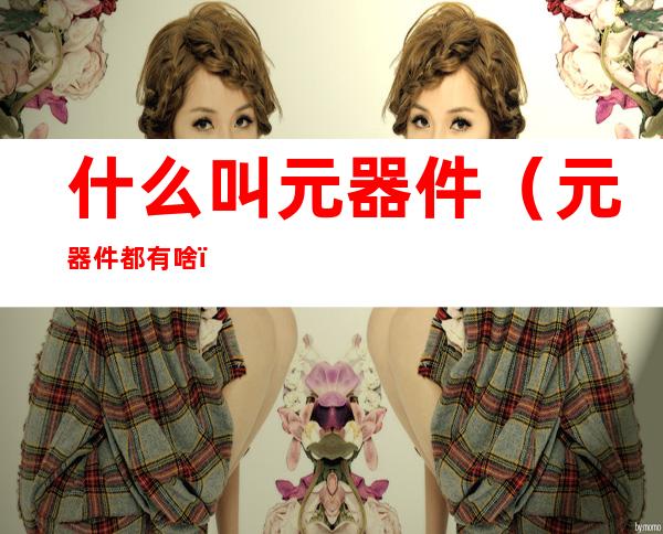 什么叫元器件(元器件都有啥)