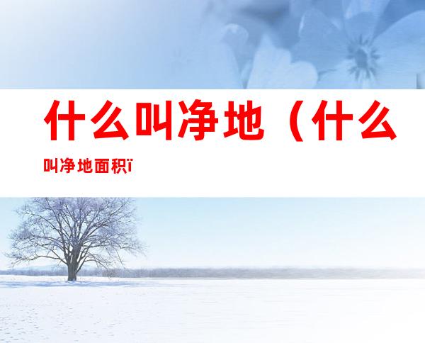 什么叫净地（什么叫净地面积）