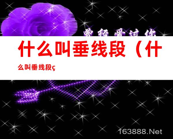 什么叫垂线段(什么叫垂线段的性质)
