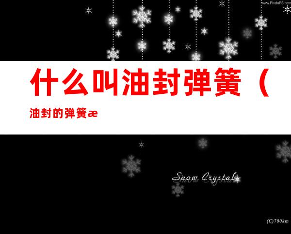 什么叫油封弹簧（油封的弹簧有什么作用）