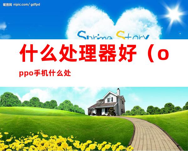 什么处理器好(oppo手机什么处理器好)