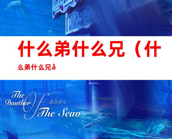 什么弟什么兄(什么弟什么兄四字词语)