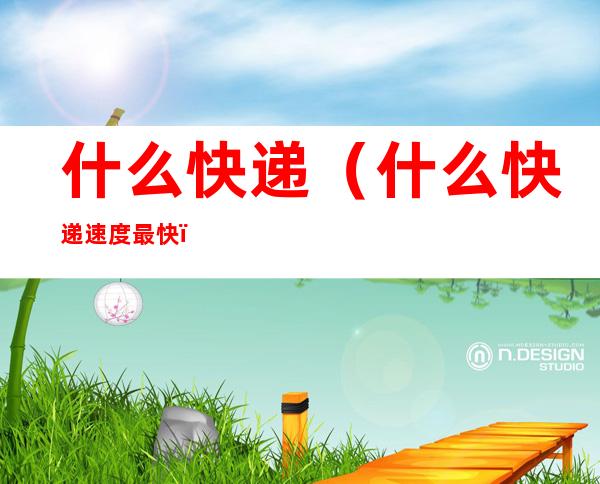 什么快递(什么快递速度最快)