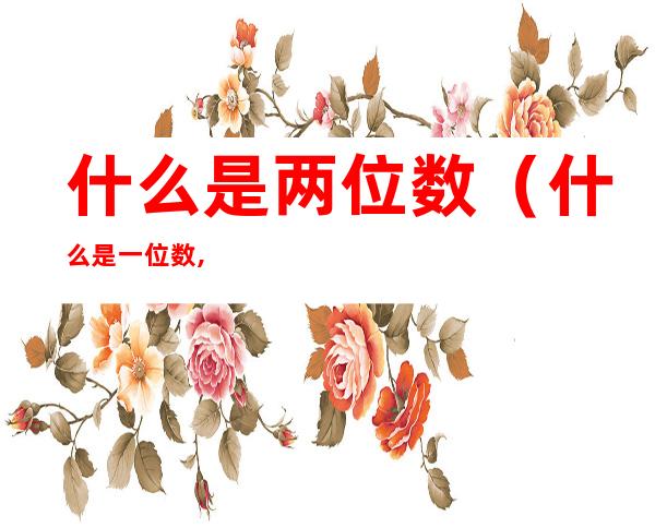 什么是两位数（什么是一位数,什么是两位数）