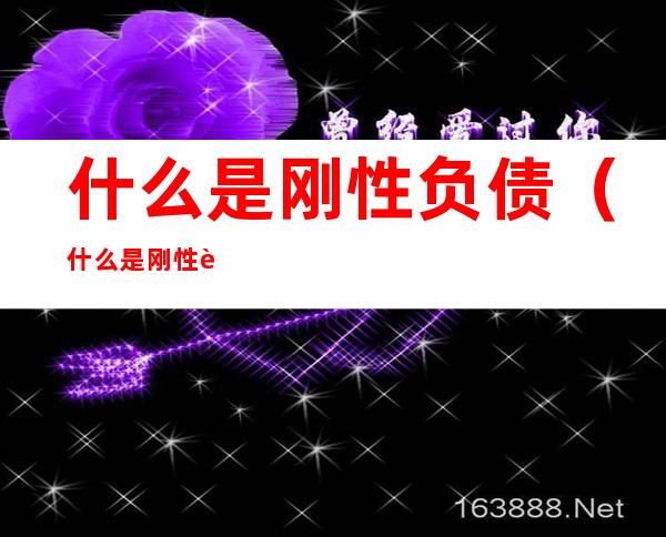 什么是刚性负债(什么是刚性负债合计)