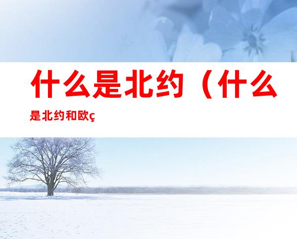 什么是北约(什么是北约和欧盟)