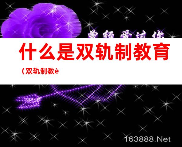 什么是双轨制教育(双轨制教育和单轨制教育)