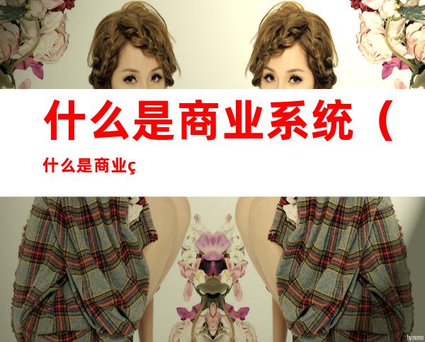 什么是商业系统(什么是商业系统设计)