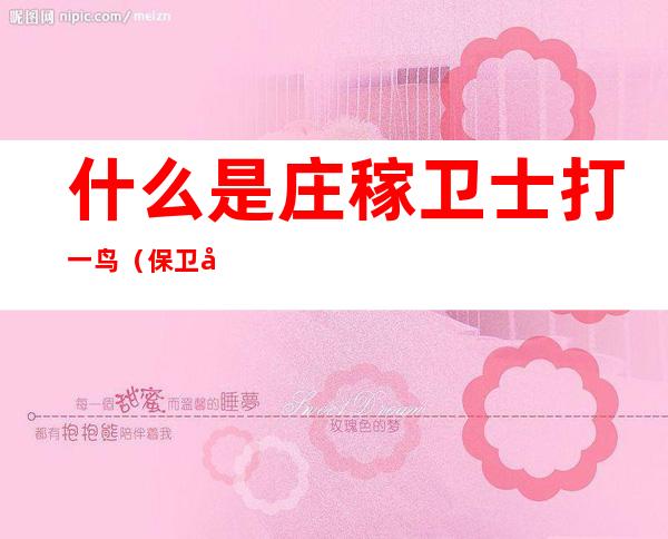 什么是庄稼卫士打一鸟(保卫庄稼的是什么鸟)