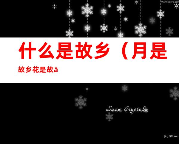 什么是故乡(月是故乡花是故乡人是故乡什么是故乡)