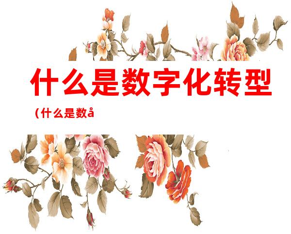什么是数字化转型（什么是数字化转型方案）